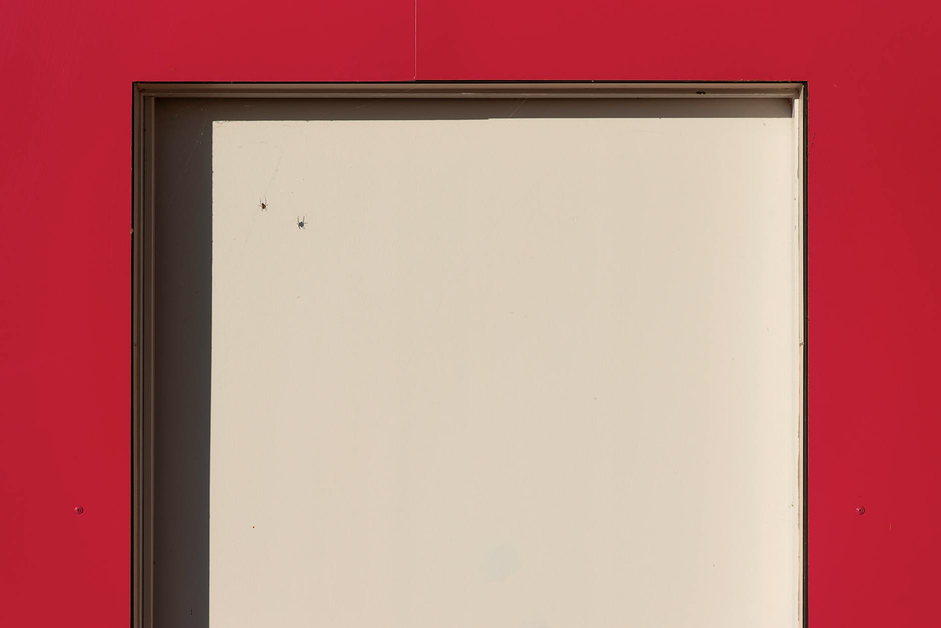 2026年亲测：无常损失的5个避坑指南