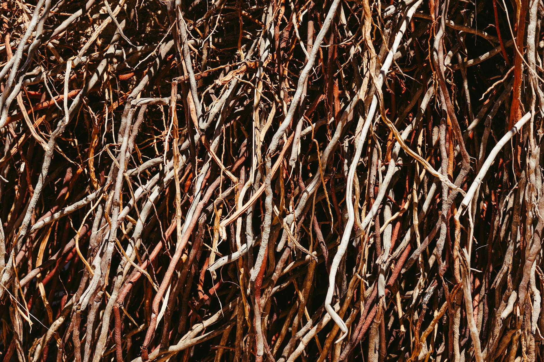 2026年亲测：Sui区块链是什么的5个避坑指南