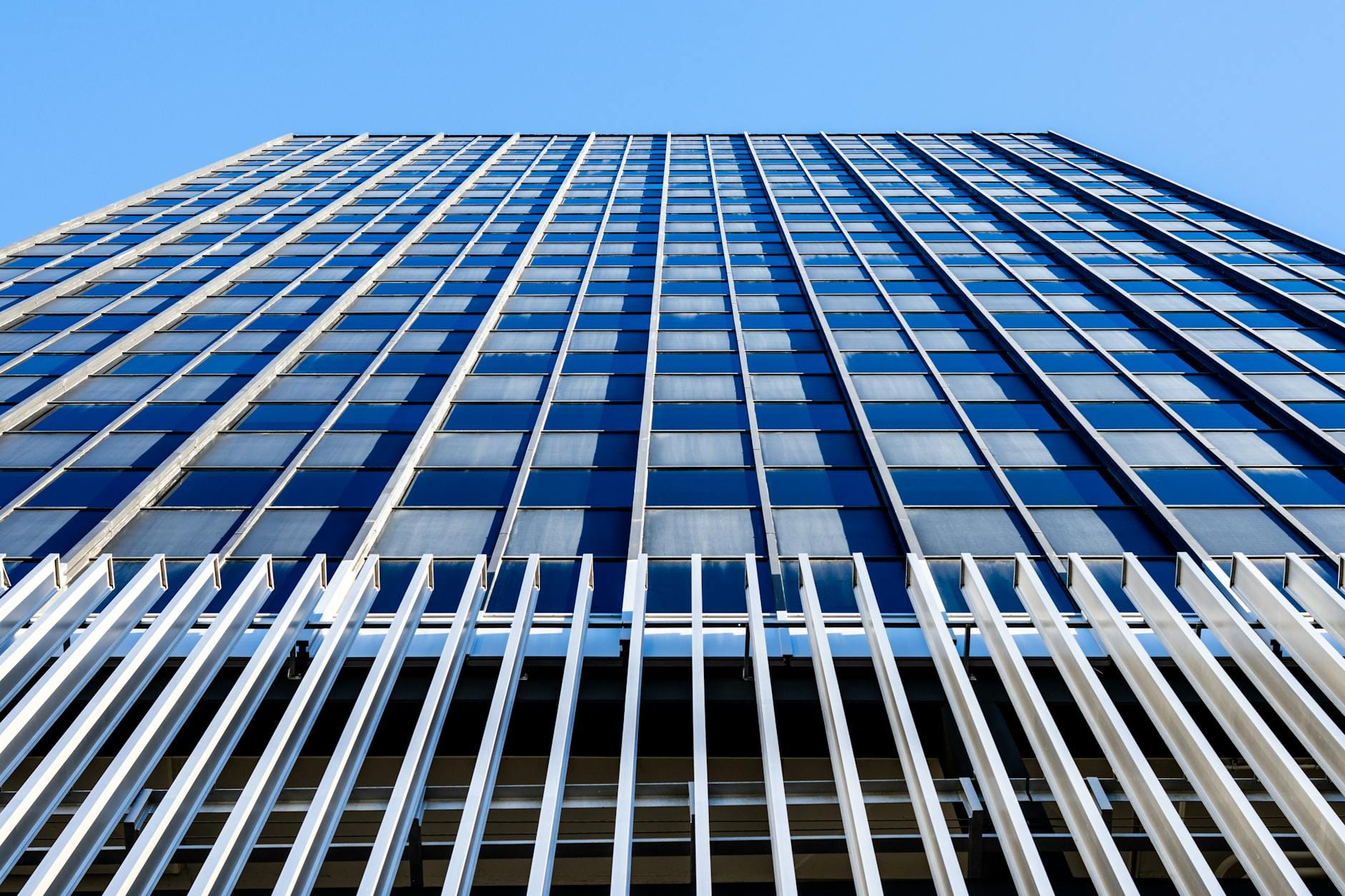 2026年亲测：流通量和总量区别的5个避坑指南